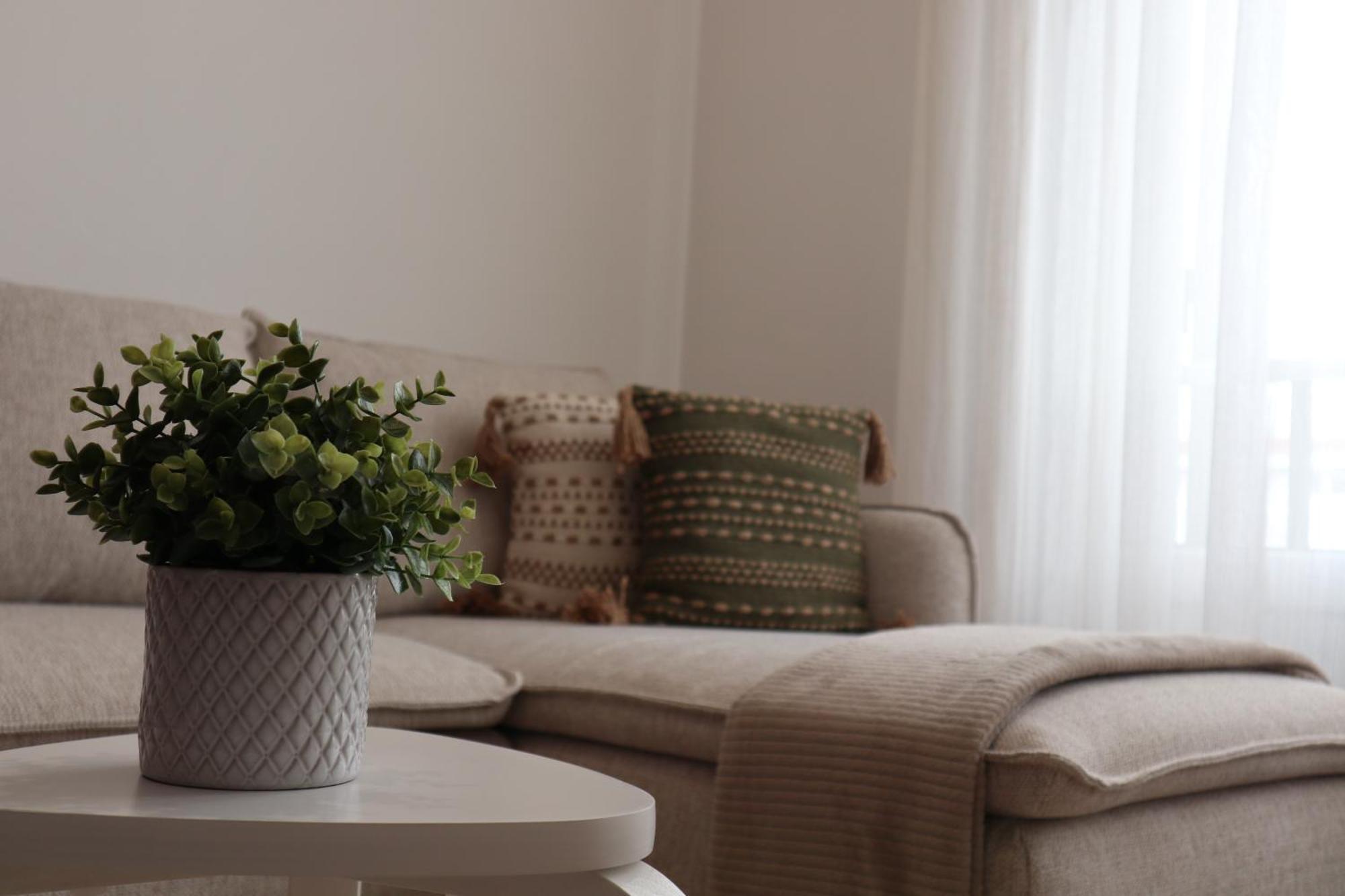 Apartment Wild Blue By Svl *
